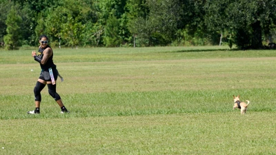 _DSC6865tpz.jpg
